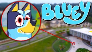 Drone Catches BLUEY HEELER From BLUEY IN REAL LIFE BINGO BANDIT amp CHILLI [upl. by Mufi]