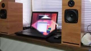 Fostex P1000 Hivi T208 DIY Speaker [upl. by Enelyahs]