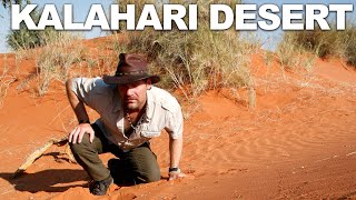 Survivorman  The Kalahari Desert  Namibia  Season 2  Episode 1  Les Stroud [upl. by Eniarol]