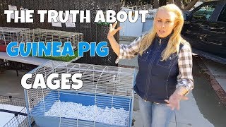 How Much Cage Space do Guinea Pigs Really Need [upl. by Aranat]