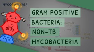 Gram Positive Bacteria NonTB Mycobacteria [upl. by Tomlin]