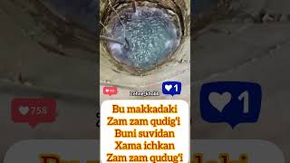 Zam zam qudigi makkah video viralvideo shortvideo instagram [upl. by Zug365]