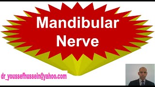 Mandibular Nerve  Auriculotemporal nerve  Lingual nerve  Inferior alveolar nerve [upl. by Teena]