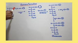 Osazone of DGlucose and DFructose [upl. by Sims]