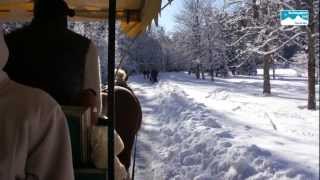 Winterwandern Bayern Deutschand Pferdeschlittenfahrt zur Wildfütterung im Nationalpark Berchtsgaden [upl. by Haisa181]