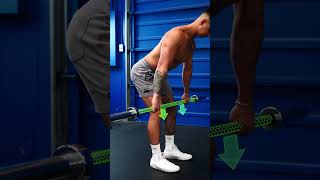 The PERFECT Barbell Row 5 Steps [upl. by Sutphin]