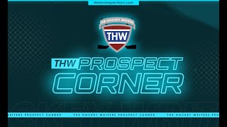 Top 10 NHL Goalie Prospects  202324 Preseason Rankings  THW Prospect Corner [upl. by Nwonknu]