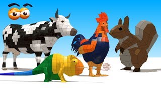 CUBE BUILDER for KIDS HD  Various Animals Compilation 2  AApV [upl. by Gabi]