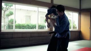 Jujitsu amp Aikido 20 [upl. by Ruamaj]