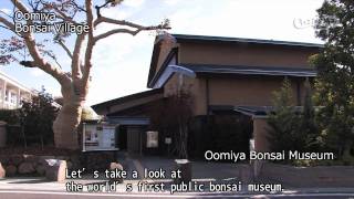 Oomiya Bonsai village 【埼玉県公式観光動画】 [upl. by Ho]