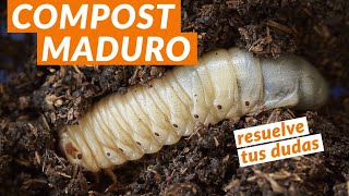 🍃 Compost básico Usos del COMPOST MADURO  Curso de compostaje [upl. by Tawsha]