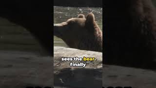 Erin Greene Grizzly Bear Attack Story [upl. by Sugar]