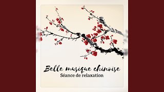 Belle musique chinoise [upl. by Eolanda]