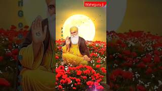 Phoolan wali palki che🙏🌹🙏shortsshortsvideo youtubeshorts shabadgurbani viral [upl. by Fabrice385]