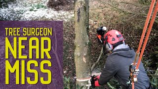 Tree Surgeon near miss with ground worker  Dangerous job  Arborist Tree Removal [upl. by Rodina]