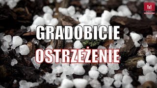 Grad śnieg śnieżyca w mieście Prognoza pogody na dziś pogoda Będzie wiało padało sypało lało [upl. by Etnomal]