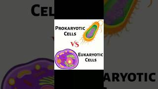 🔎Simple Difference between Prokaryotic amp Eukaryotic Cells shorts neet [upl. by Hallee]