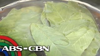 Salamat Dok Health benefits of Guava Leaves  Cura Mula sa Nature [upl. by Akital402]