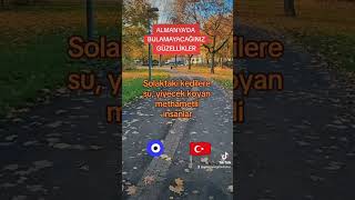 ALMANYADA BULAMAYACAĞINIZ GÜZELLİKLER [upl. by Leif]