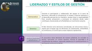 tipos de liderazgo [upl. by Nirrep]