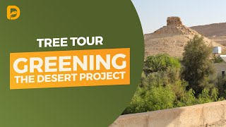 Greening the Desert Tree Tour [upl. by Canter]