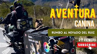 Ruta al NEVADO DEL RUIZ en MOTO un viaje épico con nuestros leales PERROS [upl. by Suki173]