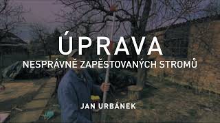 ÚPRAVA nesprávně zapěstovaných stromů [upl. by Nirrak]