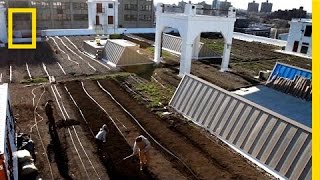 Farming on a Rooftop  National Geographic [upl. by Ahsemed]