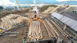 Logs to Lumber  An aerial journey through the sawmill [upl. by Cirtap]