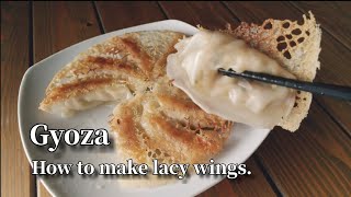 How to fry frozen gyoza like at a restaurant Lacy Wing Gyoza Vegan [upl. by Llemar215]