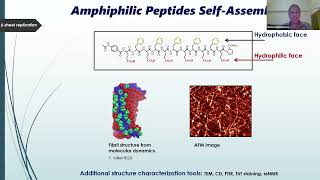 BuildaCell seminar Gonen Ashkenasy De Novo Designed Peptide Networks OutofEquilibrium [upl. by Eecart]