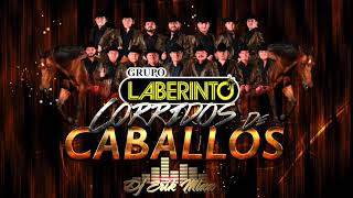 Grupo Laberinto  Corridos de Caballos Mix 2019 Dj Erik Mixx [upl. by Guerin]