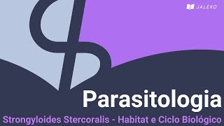 Parasitologia Strongyloides Stercoralis  Habitat e Ciclo Biológico [upl. by Zsa]