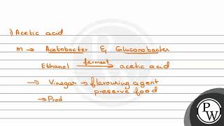 Match ListI with ListII ListI ampnbsp ListII ampnbsp A Aspergillus niger i Acetic Ac [upl. by Yalc931]