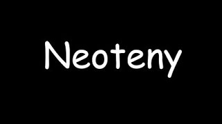 Neoteny । Neoteny in amphibia । hindi notes । zoology Msc Bsc [upl. by Dibrin]