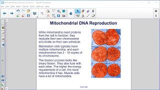 Mitochondrial Inheritance [upl. by Durst551]