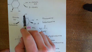 Antithrombin 3 and Heparin Part 7 [upl. by Acnaiv797]