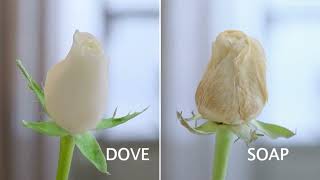 Dove Beauty Bathing Bar  Cares like a Cream  24 hours Moisturization  Hindi [upl. by Bahner]