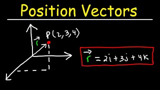 Position Vectors and Displacement Vectors  Physics [upl. by Nerrot19]