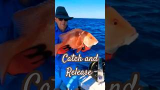 Catch and Release shorts fishing catchandrelease seafood [upl. by Hanley]