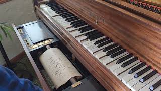 Pal of My Dreams  Harold Wansborough  player piano roll [upl. by Mcafee]