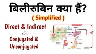 बिलीरुबिन क्या हैं Direct Bilirubin amp Indirect Bilirubin Conjugated amp Unconjugated Bilirubin [upl. by Langsdon]