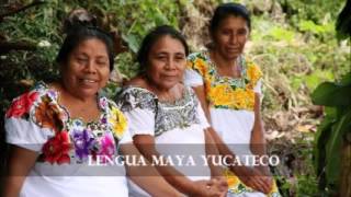 Lengua maya yucateco [upl. by Akimrehs]