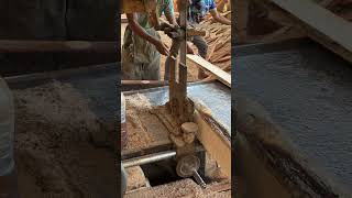 Behind the Scenes with Expert Sawmill Operators Precision Techniques [upl. by Panter955]