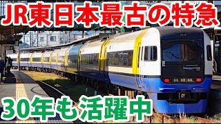 【もうすぐ引退？】JR東日本最古の特急に乗ってみた！ 特急「しおさい」255系 房総ビューエクスプレス [upl. by Keelia]