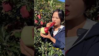 Red Delicious Apple 🍎🍎 Amazing Fruit Cutting amp Rural Farmer shorts apple youtubeshorts [upl. by Atauqal]