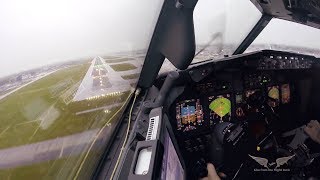 Stormy crosswind landing in LGW  Boeing 737 Captains view [upl. by Pega182]