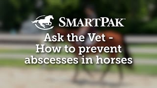 Ask the Vet  How to prevent abscesses in horses [upl. by Htezil]