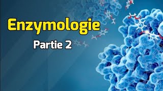 Classification des enzymes  Cours Enzymologie partie 2 [upl. by Orville127]