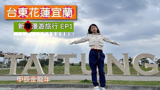 金龍年春節旅遊 EP1 ∣台東∣台東全地形沙灘車∣三仙台∣花蓮東大門夜市 [upl. by Lagiba]